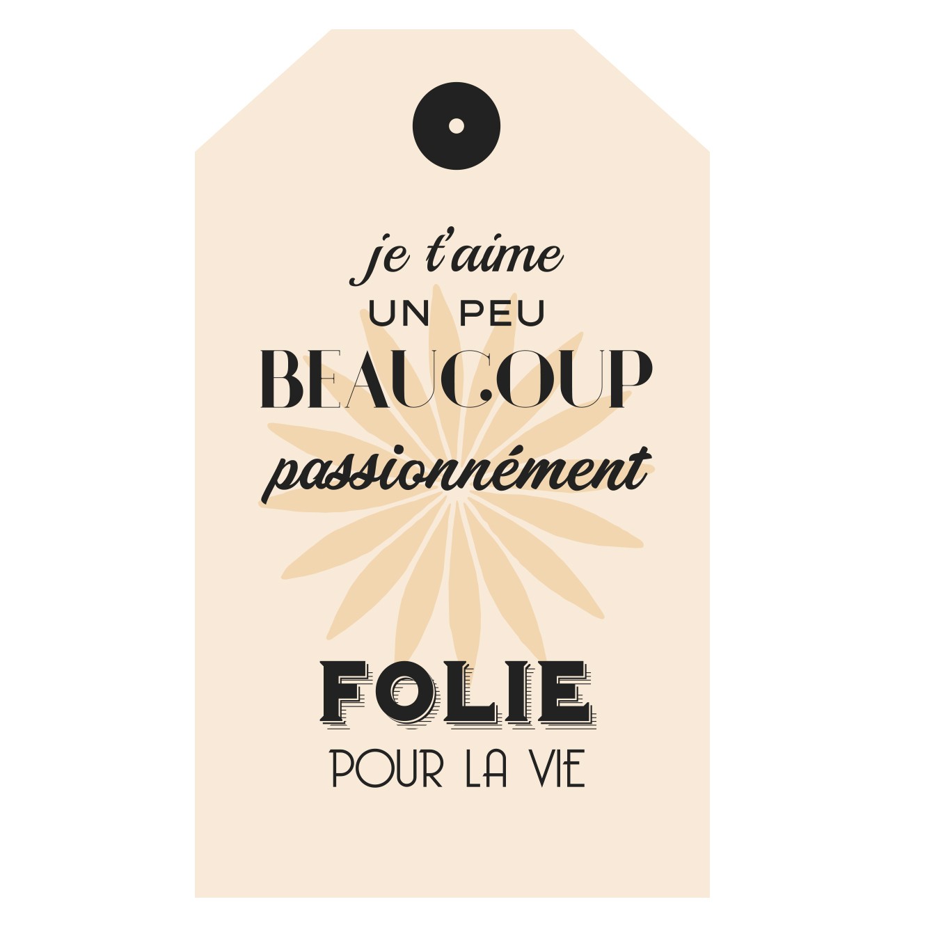 Carte Je t'aime à la Folie